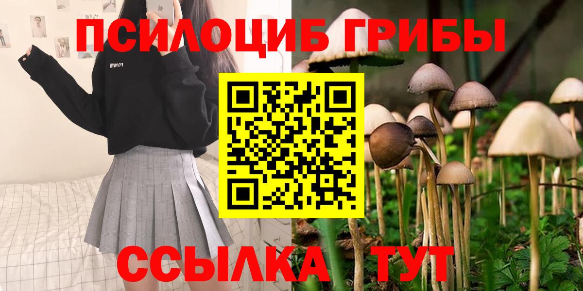 Анжеро-Судженск  Псилоцибиновые грибы Psilocybine cubensis  Вход с VPN 